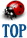 Top of Page